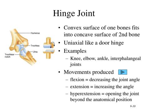 Ppt Chapter 9 Joints Powerpoint Presentation Free Download Id3130113