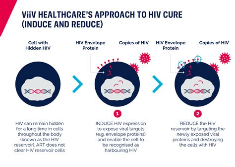 Hiv Cure The Goal To End The Hiv Epidemic Viiv Healthcare