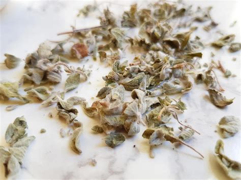 Заатар душистый