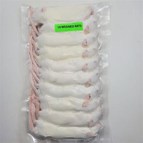 Frozen Rats For Sale Perfect Prey Frozen Feeder Rats