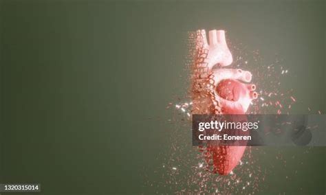 4706 Bloody Human Heart Stock Photos High Res Pictures And Images