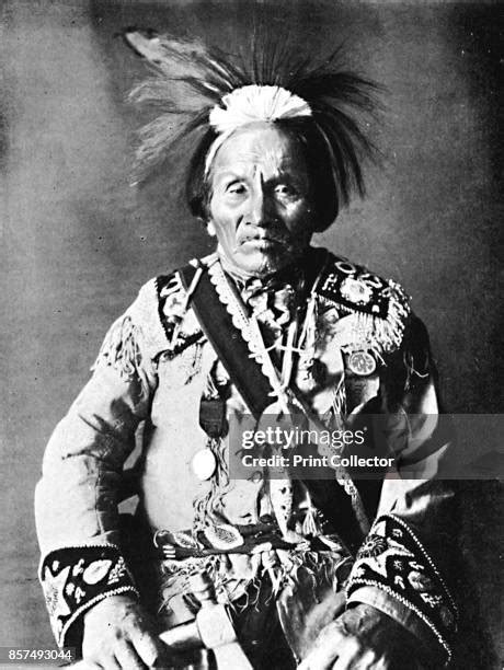 134 The Iroquois Indians Stock Photos, High-Res Pictures, and Images ...
