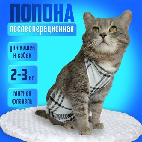 Попона для кошек послеоперационная - купить с доставкой по выгодным ...