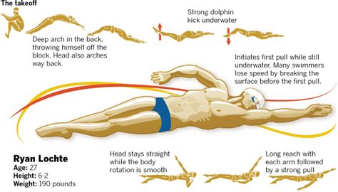 Backstroke Technique Swimming Infirmation Wiki Fandom