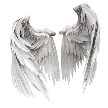 Closed Angel Wings