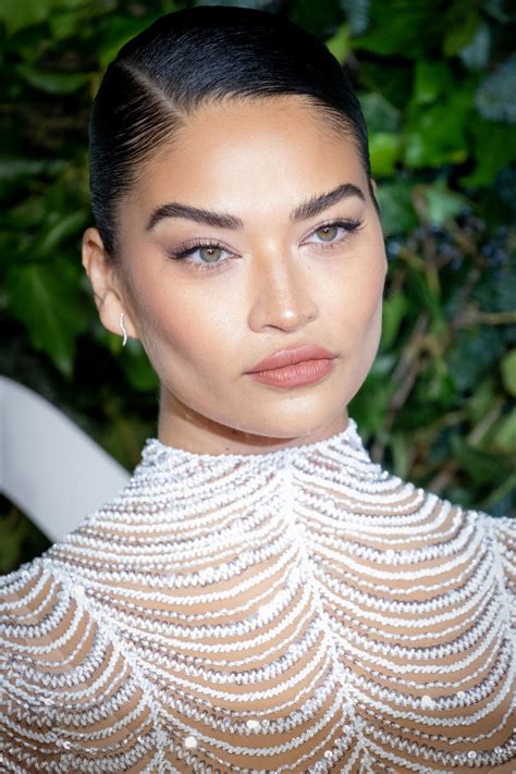 Shanina Shaik Flaunts Her Tits In A See Through Dress 8 Photos