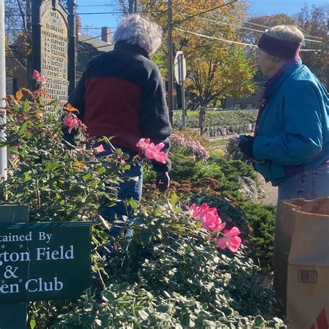 Civic Gardening – Lexington Field & Garden Club