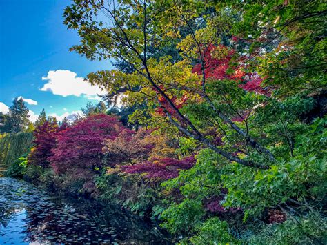 star beacon ashtabula 7