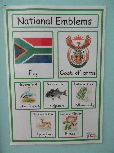 Five National Symbols Of South Africa