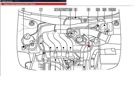 Understanding The Anatomy Of A Car S Engine Bay