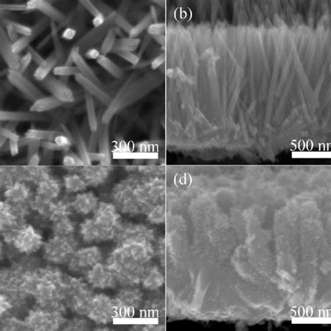 SEM Images Of The TiO 2 Nanostructures As Prepared Nanorods Top View