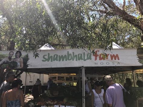 Noosa Marina Sunday Markets Tewantin Top Tips Before You Go