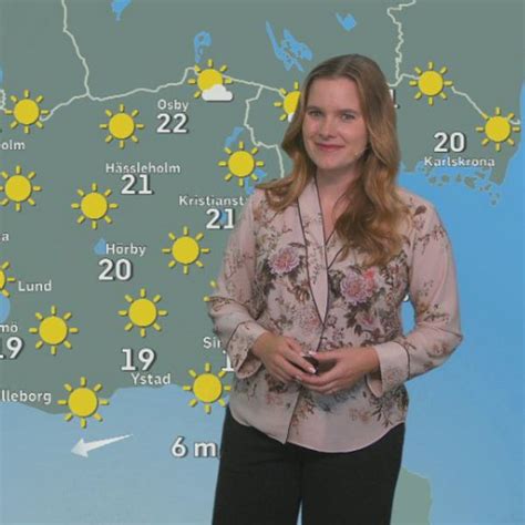 Skola tvingas till väktare och staket efter hot SVT Nyheter