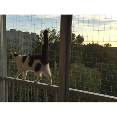 Siatka Dla Kota Na Balkon W Zestawie Z Siatk X Marki Bezpieczne Koty