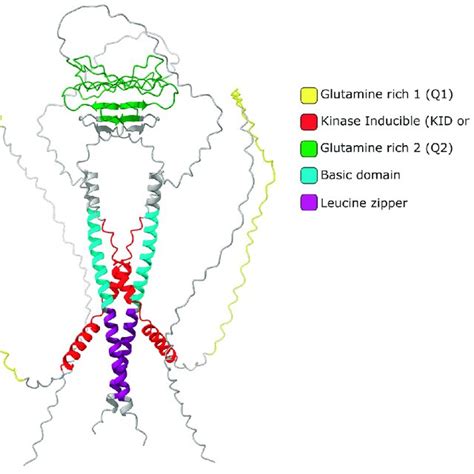 structure  cremt homodimer  predicted quaternary structure