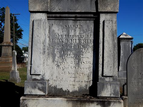 Susan Dobbins Obituary and Memorial Service Details 19