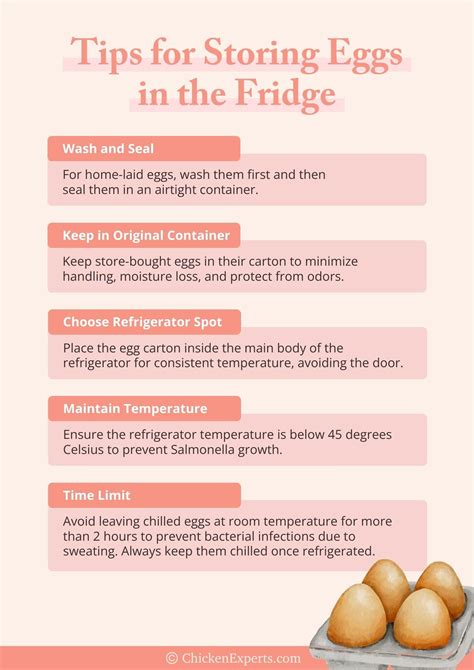 How to Source How Long Can Eggs Last Outside The Fridge...