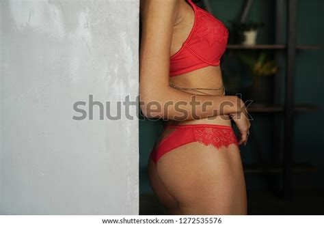 Sexy Beautiful Brunette Lady Posing Fashionable Stock Photo Shutterstock