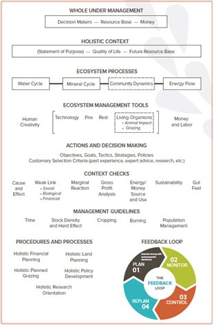 Holistic Management: Part 2 – Holistic Decision Making Framework ...