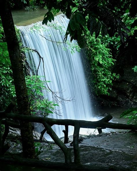 Review chi tiết khu du lịch Khoang Xanh Suối Tiên có gì hot