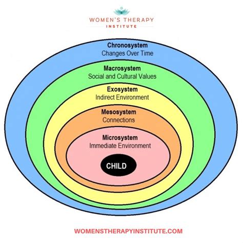 Womens Therapy Institute Ecological Systems Theory Systems Theory