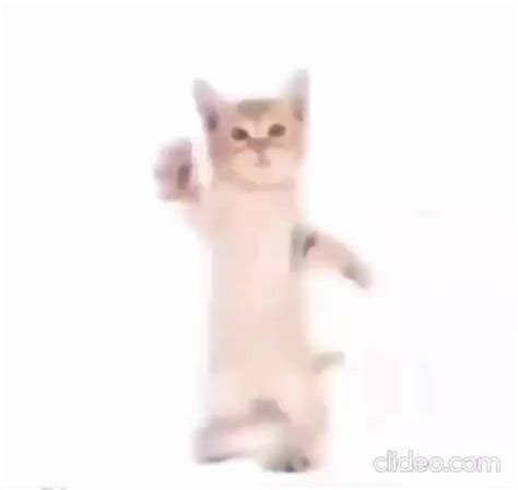 ni modo meme subido por saultroll memedroid