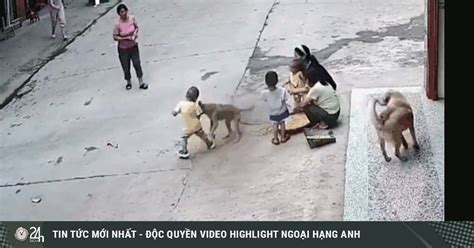 Clip Chó hoang hung hăng lao tới cắn bé trai và màn giải cứu gay cấn