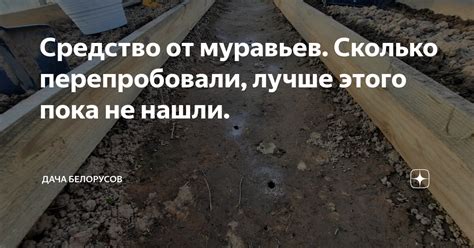 Средство от муравьев. Сколько перепробовали, лучше этого пока не нашли ...