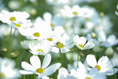 Nhi U I M Check In C C Hot Ti N Giang N Kh Ch D P T T