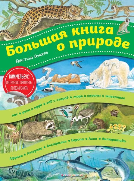 Большая книга о природе. Виммельбух | Нет автора - купить с доставкой ...