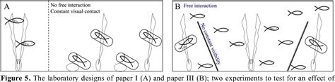 Table From Operational Sex Ratio And Reproductive Behaviour In The Two Spotted Goby