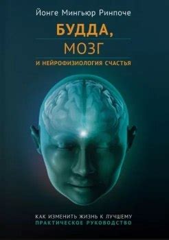 30 лучших книг по йоге от топовых авторов для начинающих и практикующих