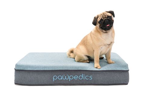 X Small Orthopaedic Dog Bed
