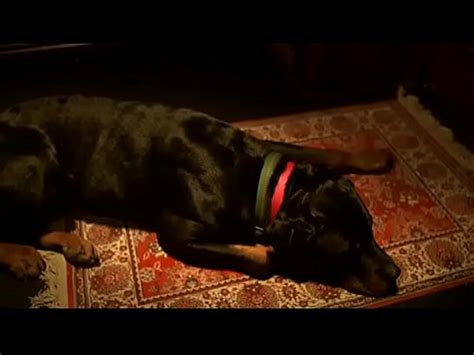 Scratch Sexy Nude Blonde Bath XVIDEOS