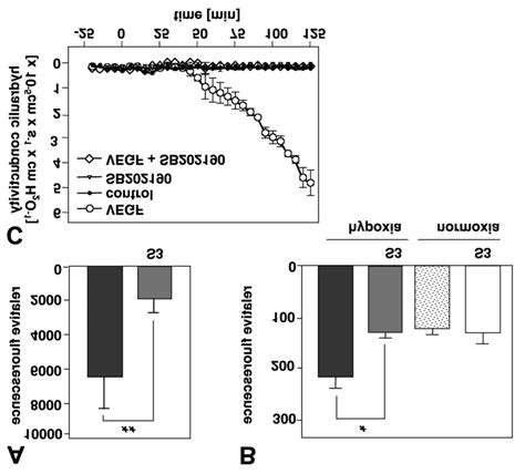 p38 MAPK inhibition abrogates vascular permeability in vitro and in ... 
