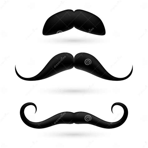 A Set Of Three Moustache Stock Vector Illustration Of Elegance 41497208