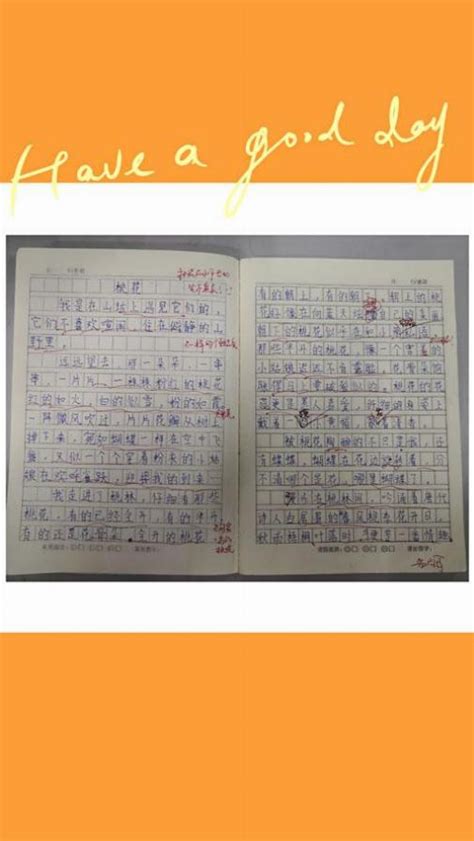 家乡的美景作文怎么写：从零开始，写出惊艳老师的爆款作文 史册号