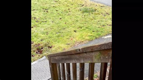 My Public Outdoor Piss And Pee Compilation Gay Pissing Porn Feat Darktrain Xhamster