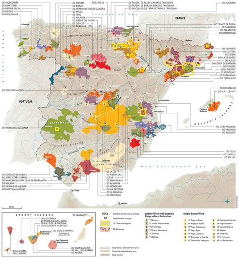 Spain's Wine 101