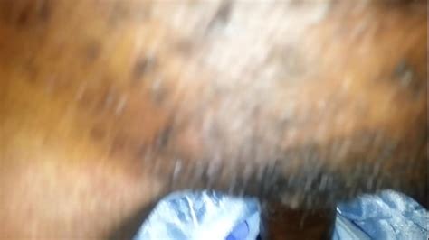 Nairobi Kenya Videos XVIDEOS