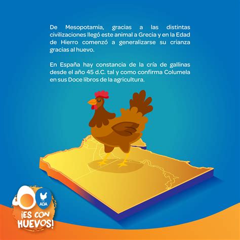 el huevo - Acompáñanos y conoce la historia del huevo…...