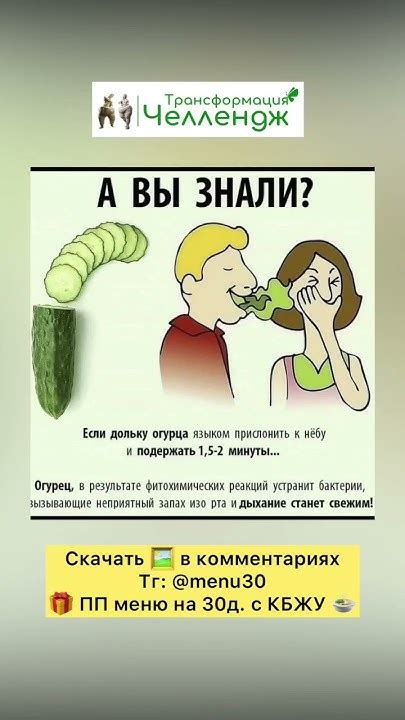 Сила Огурца 💪 #челленджтрансформация - YouTube