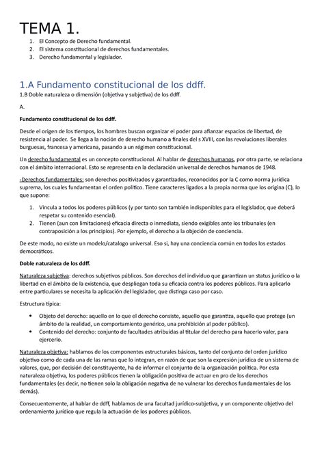 Tema Derechos Fndamentales Tema 1 El Concepto De Derecho Fundamental El Sistema