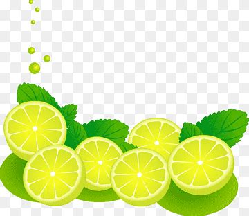 Lime png | PNGWing
