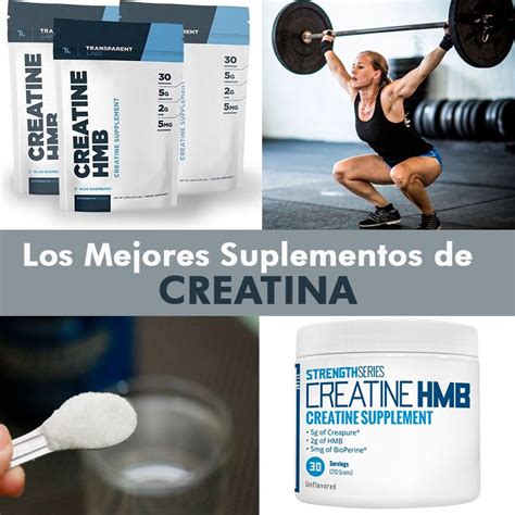 Los Mejores Suplementos De Creatina En El La Gu A De Las Vitaminas