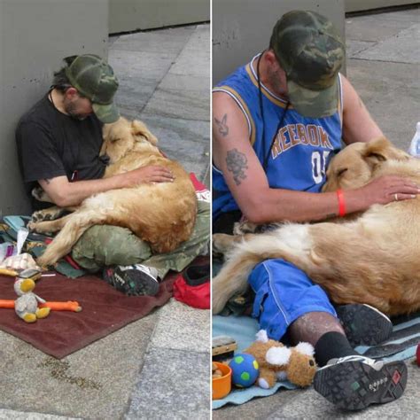 The Heartwarming Bond: How Homeless Individuals Find Comfort in Service Dogs - Hunter Games Magazine