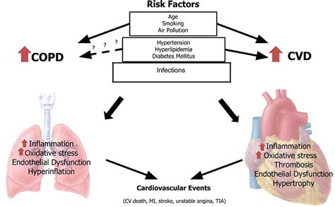 Frontiers Karma Of Cardiovascular Disease Risk Factors For Prevention