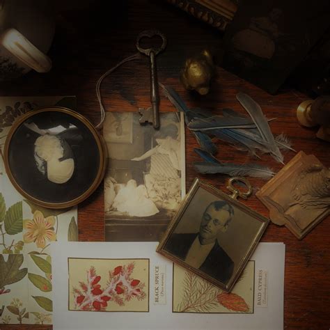 Author Adrienne Morris – Step Into the Past—Lose Yourself in the Story.