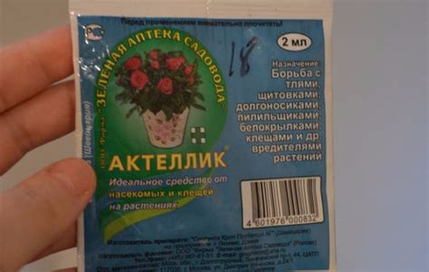 Крестоцветная блошка на редиске: описание и методы борьбы