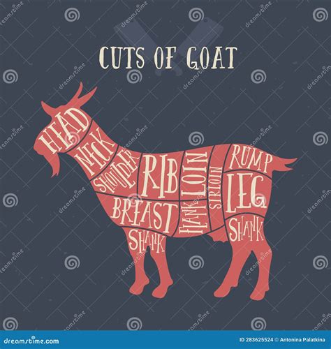 Meat Cuts Goat Diagrams For Butcher Shop Scheme Of Goat Animal